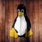 Which File System Type Is Used to Mount Remote Storage Devices on a Linux System
