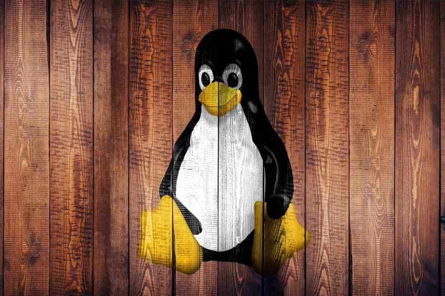 Which File System Type Is Used to Mount Remote Storage Devices on a Linux System? Find Out!